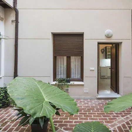 Alfileritos 14 By Ap